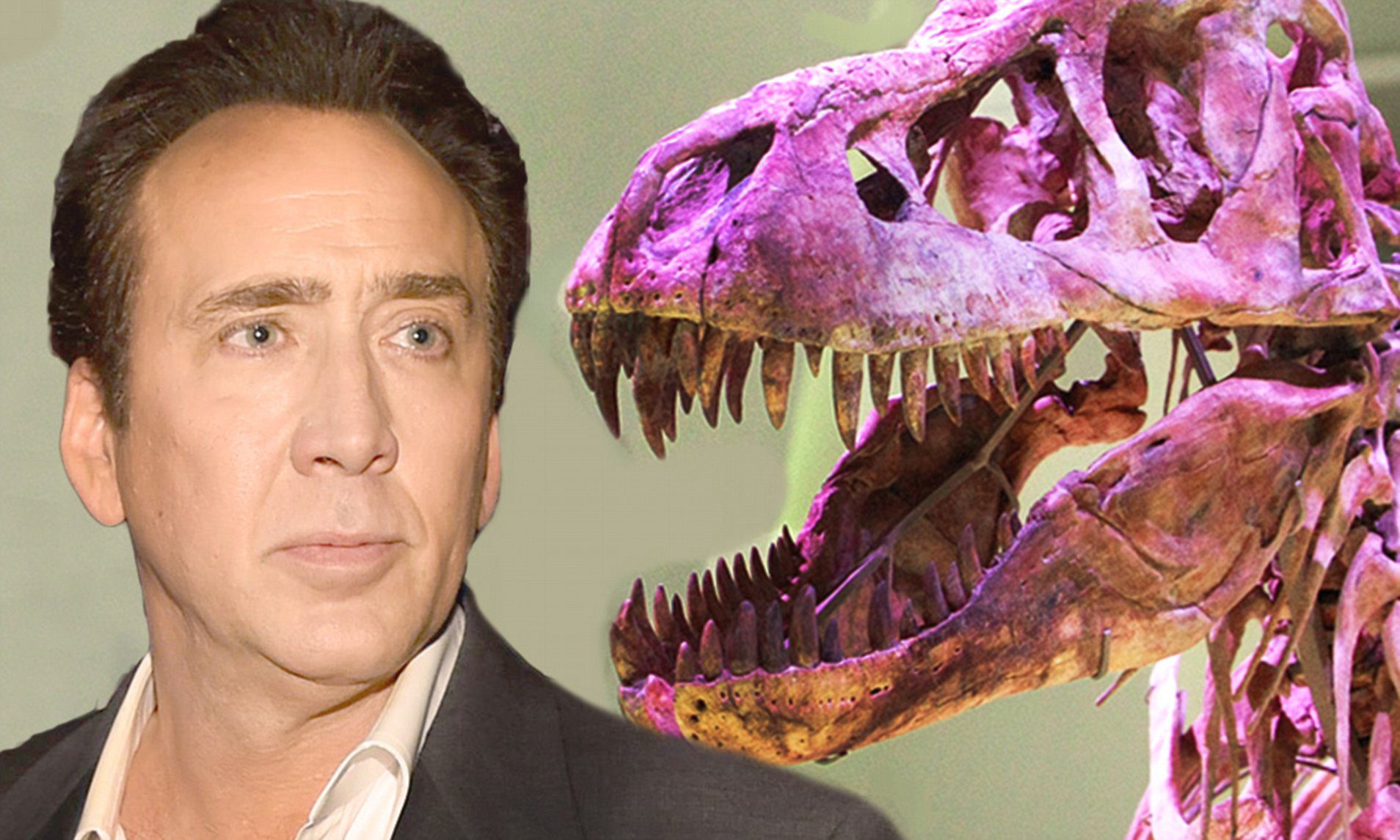 Actor Nicolas Cage recently auctioned off a rare $1 million dinosaur skull