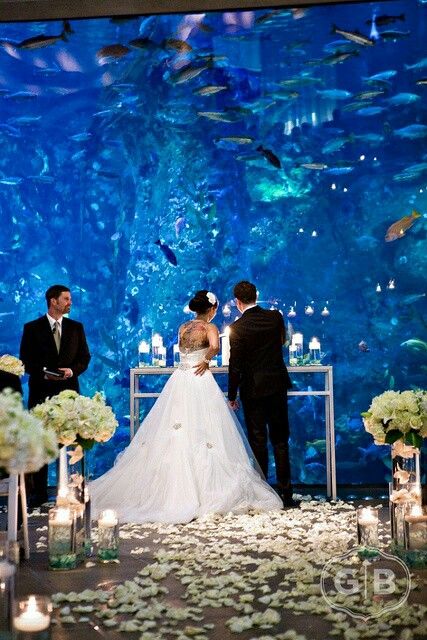 Underwater wedding ceremony: Held by a group of scuba divers in Florida