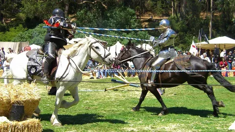 school in Maryland uses jousting to teach math